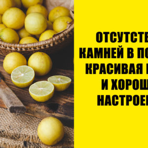 Почему вам стоит начать пить лимонную воду: 9 веских причин