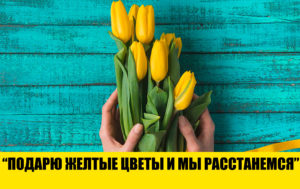 6 мифов о букетах цветов, в которые давно пора перестать верить