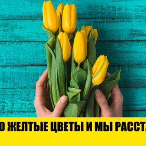 6 мифов о букетах цветов, в которые давно пора перестать верить