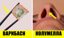 10 вещей, название которых так и вертится на языке — теперь будете знать точно