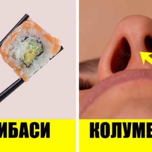 10 вещей, название которых так и вертится на языке — теперь будете знать точно