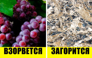 10 вещей, которые нельзя греть в микроволновке ни при каких условиях