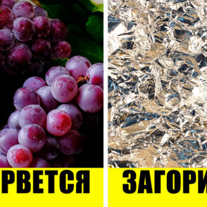 10 вещей, которые нельзя греть в микроволновке ни при каких условиях
