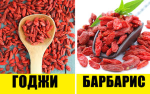 10 привычных продуктов, которые все постоянно путают