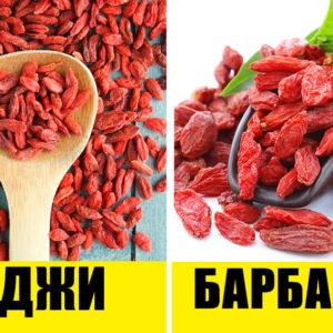 10 привычных продуктов, которые все постоянно путают