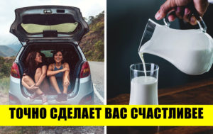 Счастье рядом: 9 странных вещей, которые работают как антистресс