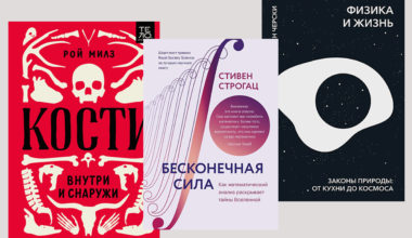 За кадром «Интерстеллара», история кости и чудеса матанализа: 8 новых нон‑фикшн книг