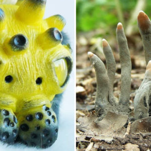 11 фото, на которых творится дичайшая дичь