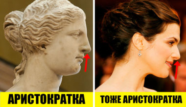 9 признаков, которые могут подтвердить ваше аристократическое происхождение