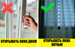 Как выжить без кондиционера: 10 способов спастись от летнего зноя