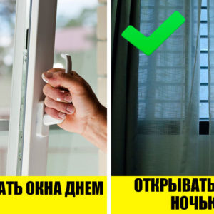 Как выжить без кондиционера: 10 способов спастись от летнего зноя