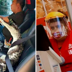11 безумных фотографий, которые выглядят как одно большое насмехательство над здравым смыслом