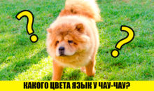 Тест: с вашим кругозором не все в порядке, если не ответите на 9/9