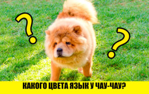 Тест: с вашим кругозором не все в порядке, если не ответите на 9/9