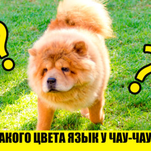 Тест: с вашим кругозором не все в порядке, если не ответите на 9/9