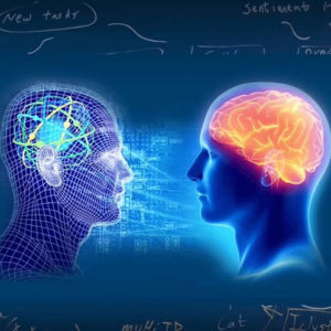 Тест: вам должны были вручить золотую медаль, если вы точно знаете ответы на эти 10 вопросов