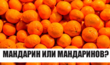 Тест: Вы — очень разносторонний человек, если хотя бы на 5 вопросов из 9 сможете ответить правильно
