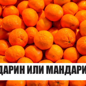 Тест: Вы — очень разносторонний человек, если хотя бы на 5 вопросов из 9 сможете ответить правильно