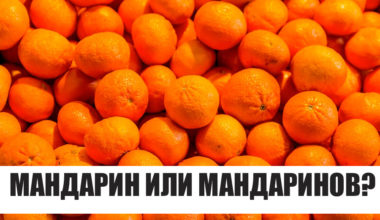 Тест: Вы — очень разносторонний человек, если хотя бы на 5 вопросов из 9 сможете ответить правильно