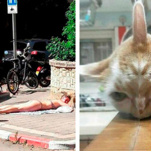 11 странненьких фото, которые никто не сможет объяснить по‑нормальному