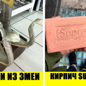 11 странных до абсурда вещей, которые покупают люди