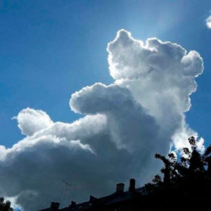 10 фотографий, о которых спорят: фотошоп это или нет