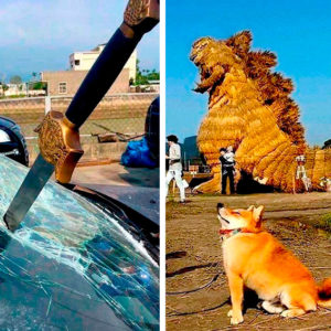 11 фото, у которых все шансы победить на конкурсе бреда