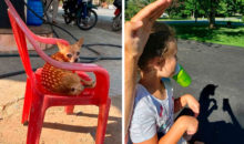 11 фотографий с подвохом, который заметит не каждый