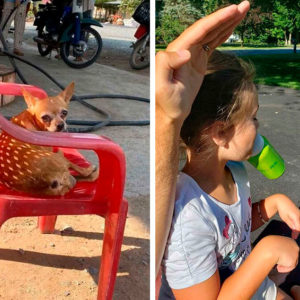 11 фотографий с подвохом, который заметит не каждый
