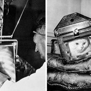 12 фото для расширения исторического кругозора: такое в школе не рассказывали