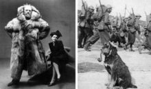 12 очень странных исторических фото с подвохом