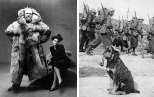 12 очень странных исторических фото с подвохом