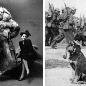 12 очень странных исторических фото с подвохом