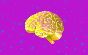 Тест: ваш IQ от 160 и выше, если вы правильно ответите хотя бы на 8/10 вопросов