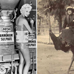 Не надо стесняться: 10 исторических фото, из‑за которых краснеют потомки