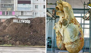 10 привычных на первый взгляд вещей, которые глубоко шокировали людей