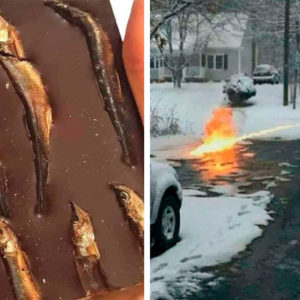 10 бредовых фото, которые нельзя воспринимать всерьез