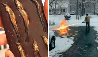 10 бредовых фото, которые нельзя воспринимать всерьез