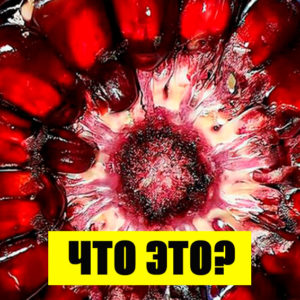 И как это понимать: 11 фото будто из другой реальности