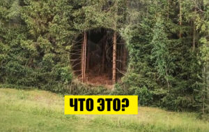 Марафон безумия: 10 фото, на которых происходит все самое странное