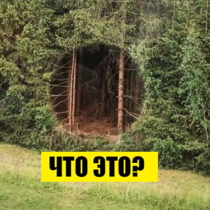 Марафон безумия: 10 фото, на которых происходит все самое странное