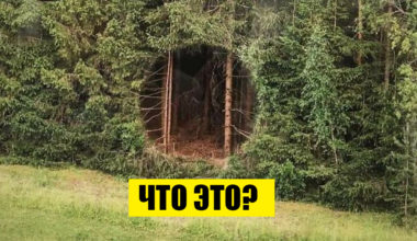 Марафон безумия: 10 фото, на которых происходит все самое странное