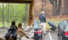10 трогательных фотографий, которые возвращают веру в добро