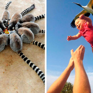 11 фото с эпичным сюжетом, который тянет на сценарий фильма