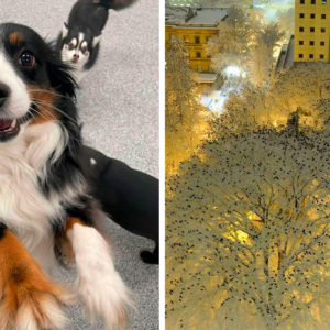 11 фотографий, которые дарят умиротворение и покой
