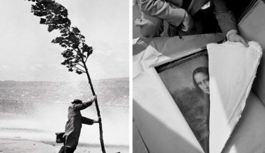 14 исторических снимков, которые могут заменить машину времени