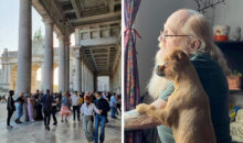10 случайных фотографий, достойных висеть в Эрмитаже