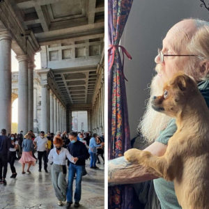 10 случайных фотографий, достойных висеть в Эрмитаже