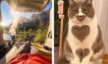 12 фотографий‑антистресс, которые успокоят ваш разум и заставят улыбнуться