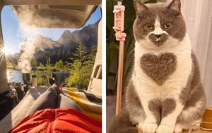 12 фотографий-антистресс, которые успокоят ваш разум и заставят улыбнуться